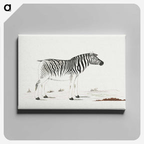 1-19_Robert-Jacob-Gordon_canvas