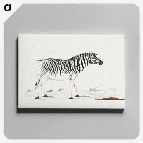 1-19_Robert-Jacob-Gordon_canvas