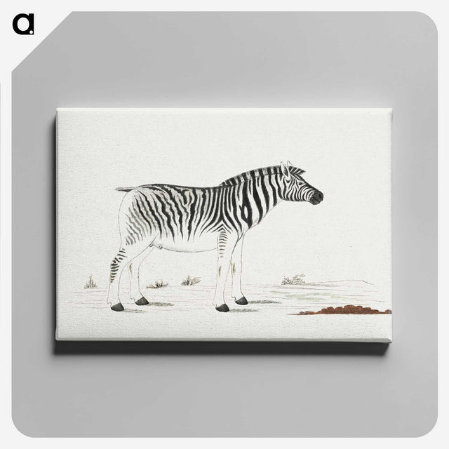 1-19_Robert-Jacob-Gordon_canvas
