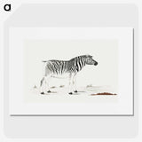 1-19_Robert-Jacob-Gordon_picture