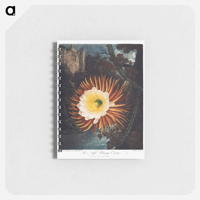 アートメモ帳-The Night–Blowing Cereus from The Temple of Flora
 - ロバート ジョン ソーントン Memo.