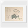 1-19_Ryuryukyo-Shinsai_picture