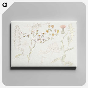1-19_Samuel-Colman_canvas