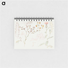 アートメモ帳-Studies of Meadow Flowers - サミュエル コールマン Memo.