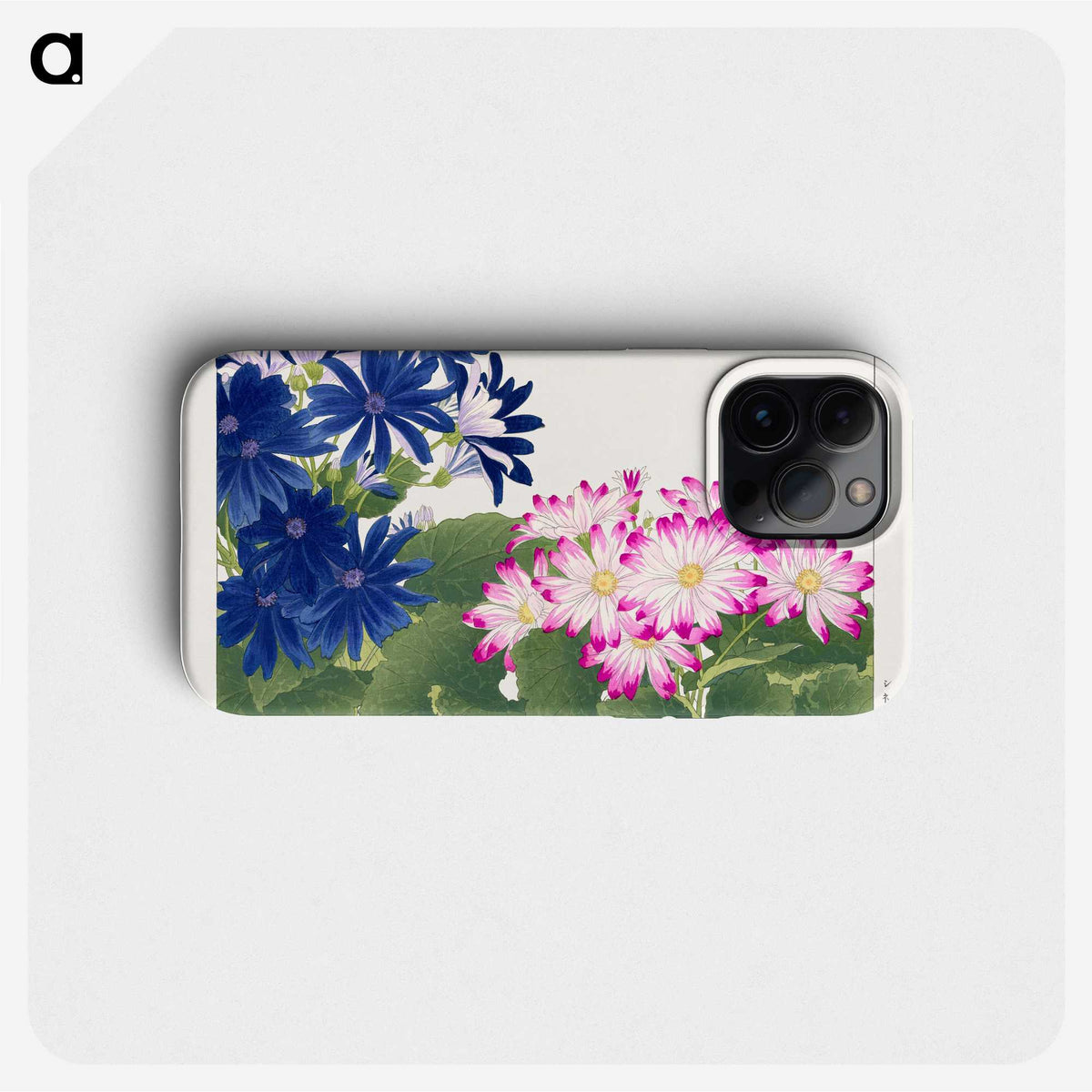 1-19_Seiyo-Soka-Zufu_phone
