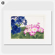 1-19_Seiyo-Soka-Zufu_picture