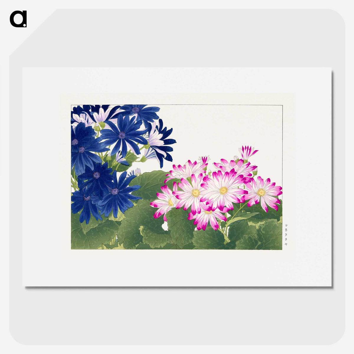 1-19_Seiyo-Soka-Zufu_picture