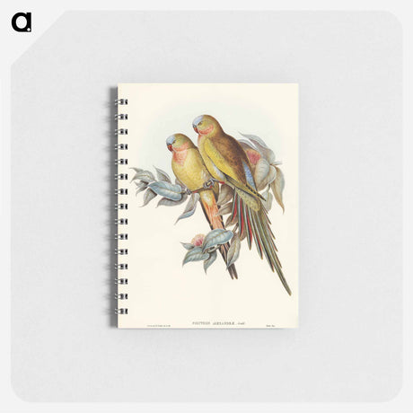 アートメモ帳-Princess of Wales's Parakeet
 - オーストラリアの鳥 Memo.