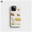 1-19_The-Daily-Prayers-of-the-Brahmins_phone