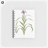 1-19_The-Genus-Iris_memo