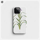 1-19_The-Genus-Iris_phone