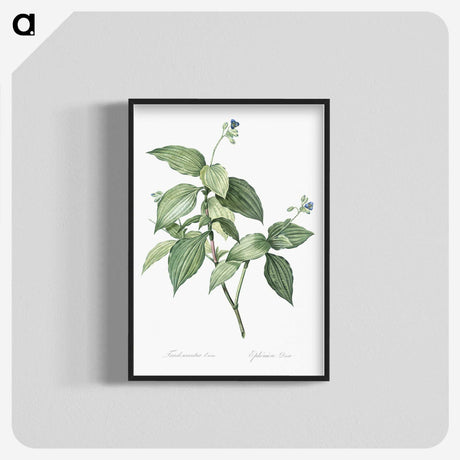 1-19_The-Lilies_blk-crop