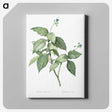 1-19_The-Lilies_canvas