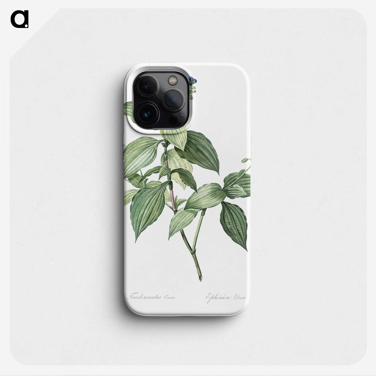 1-19_The-Lilies_phone