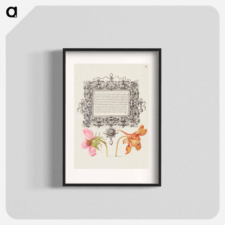 アートポスター-French Rose and Dwarf Nasturtium
 - 書道のお手本 Poster.