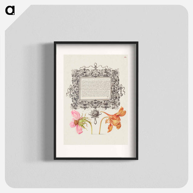 アートポスター-French Rose and Dwarf Nasturtium
 - 書道のお手本 Poster.