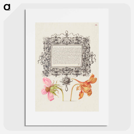 アートポスター-French Rose and Dwarf Nasturtium
 - 書道のお手本 Poster.