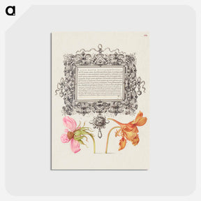 アートポストカード-French Rose and Dwarf Nasturtium
 - 書道のお手本 Postcard.