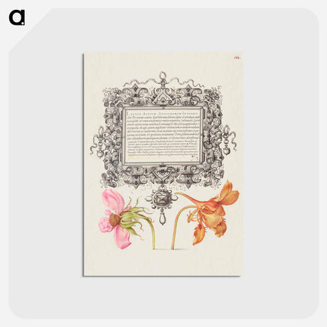 アートポストカード-French Rose and Dwarf Nasturtium
 - 書道のお手本 Postcard.