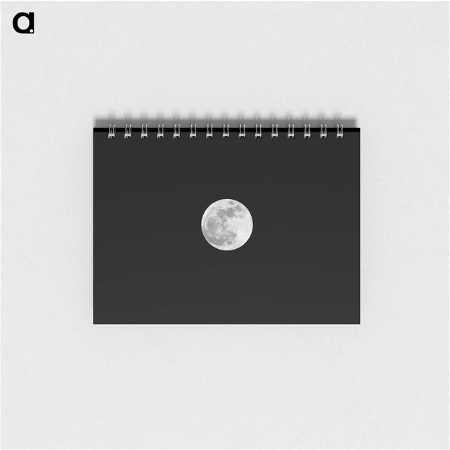 1-19_The-Moon_memo