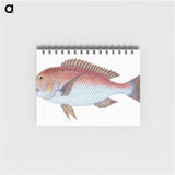 1-19_The-Natural-History-of-British-Fishes_memo