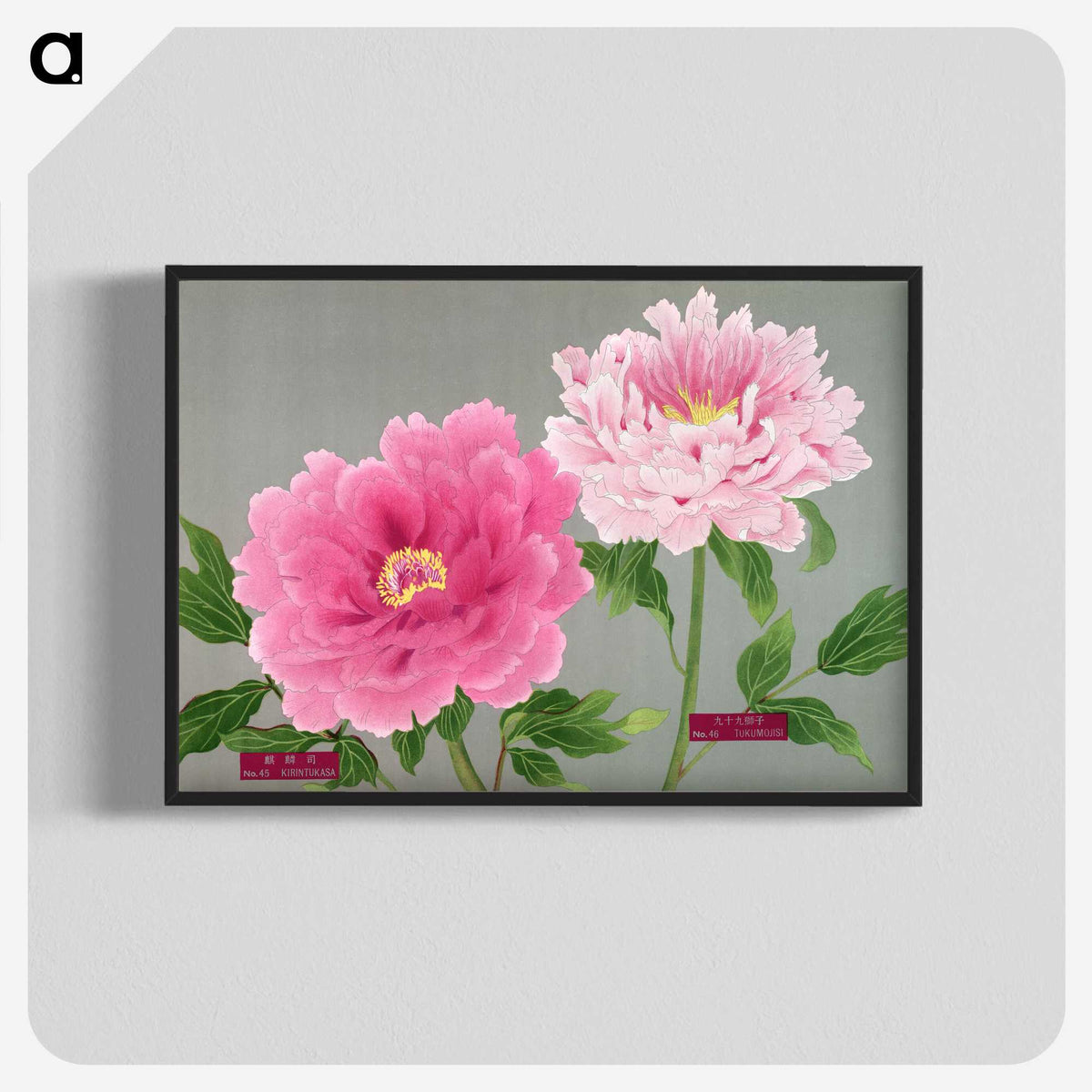 1-19_The-Picture-Book-of-Peonies_blk-crop