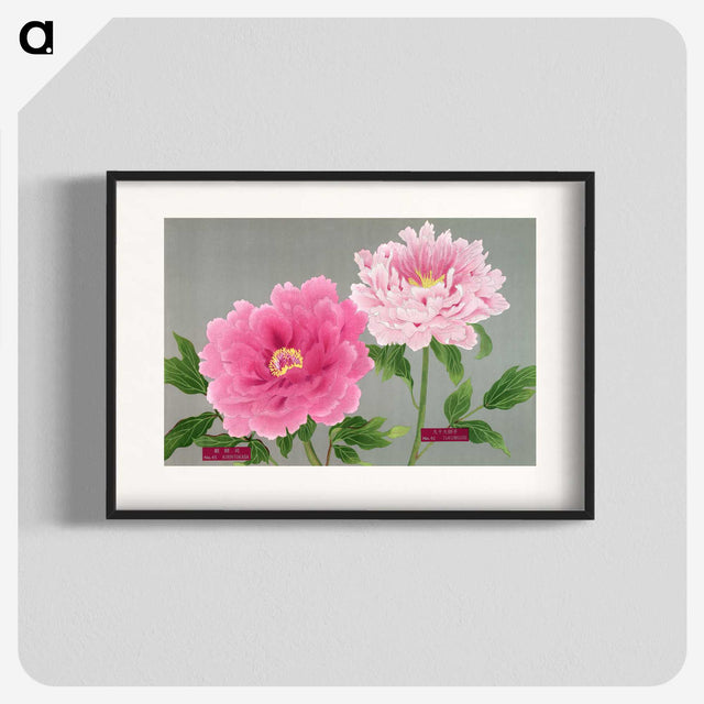1-19_The-Picture-Book-of-Peonies_blk