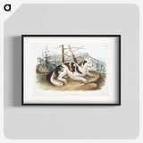 1-19_The-Viviparous-Quadrupeds_blk