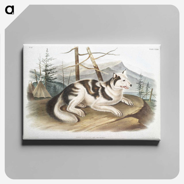 1-19_The-Viviparous-Quadrupeds_canvas