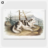 1-19_The-Viviparous-Quadrupeds_picture-crop