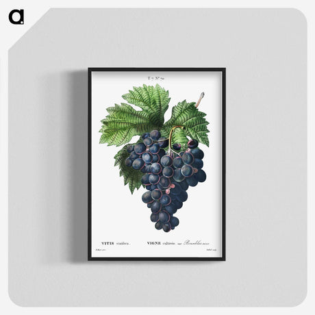 1-19_Treatise-on-Trees-and-Shrubs_blk-crop