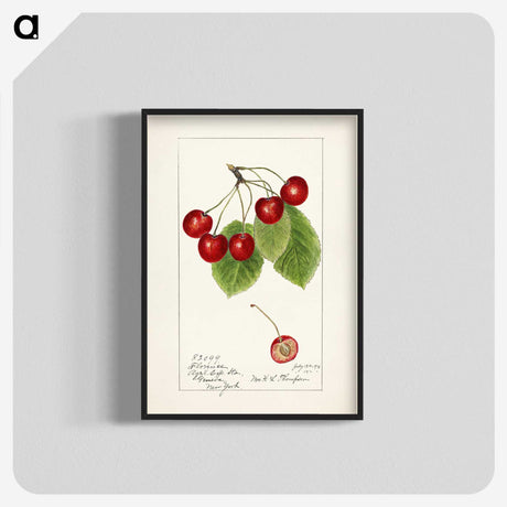 1-19_USDA-Watercolor-Fruit-Painting-Collection_blk-crop