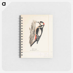 アートメモ帳-Great spotted woodpecker, male - ヴィルヘルム フォン ライト Memo.