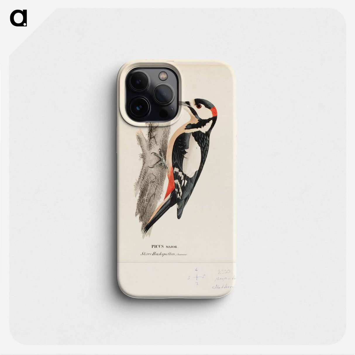 Great spotted woodpecker, male - Wilhelm von Wright Phone Case.