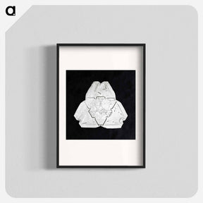 アートポスター-Wilson Bentley's Snowflake 482 - ウィルソン ベントレー Poster.