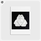 アートポストカード-Wilson Bentley's Snowflake 482 - ウィルソン ベントレー Postcard.
