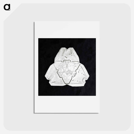 アートポストカード-Wilson Bentley's Snowflake 482 - ウィルソン ベントレー Postcard.