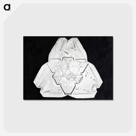 アートポストカード-Wilson Bentley's Snowflake 482 - ウィルソン ベントレー Postcard.