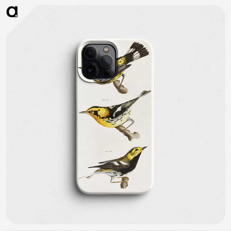 1-19_Zoology-of-New-York_phone