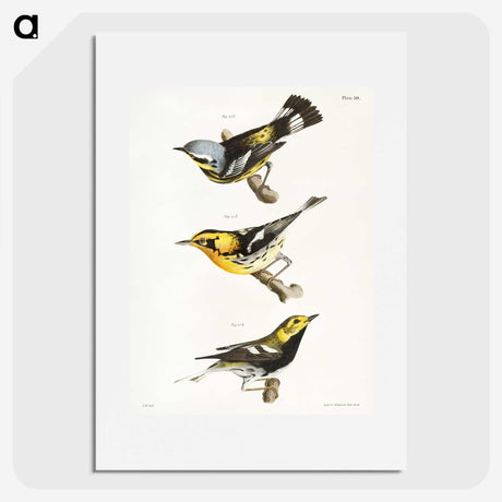 1-19_Zoology-of-New-York_picture