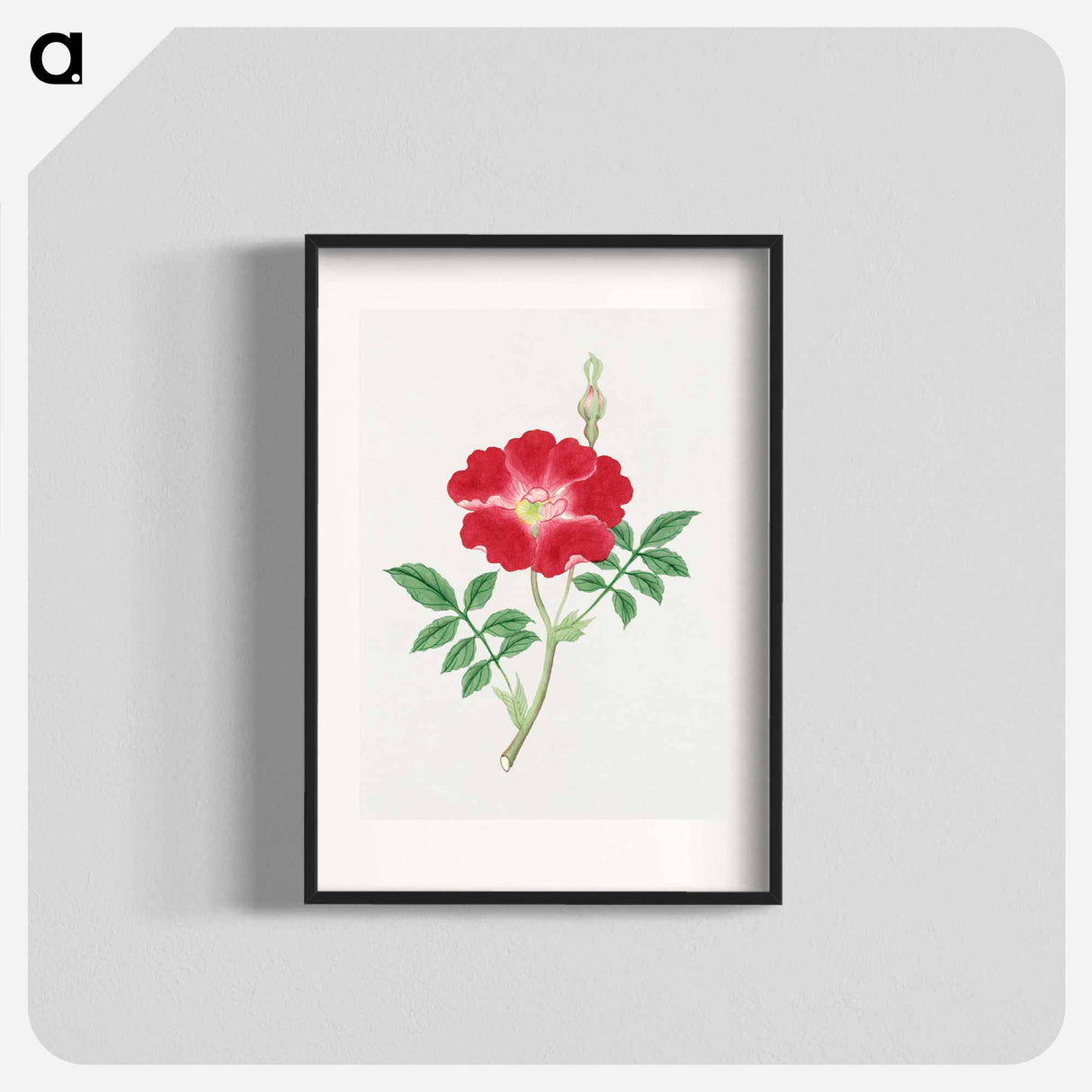 Hai kai kuwa - 19世紀の日本の花 Poster.