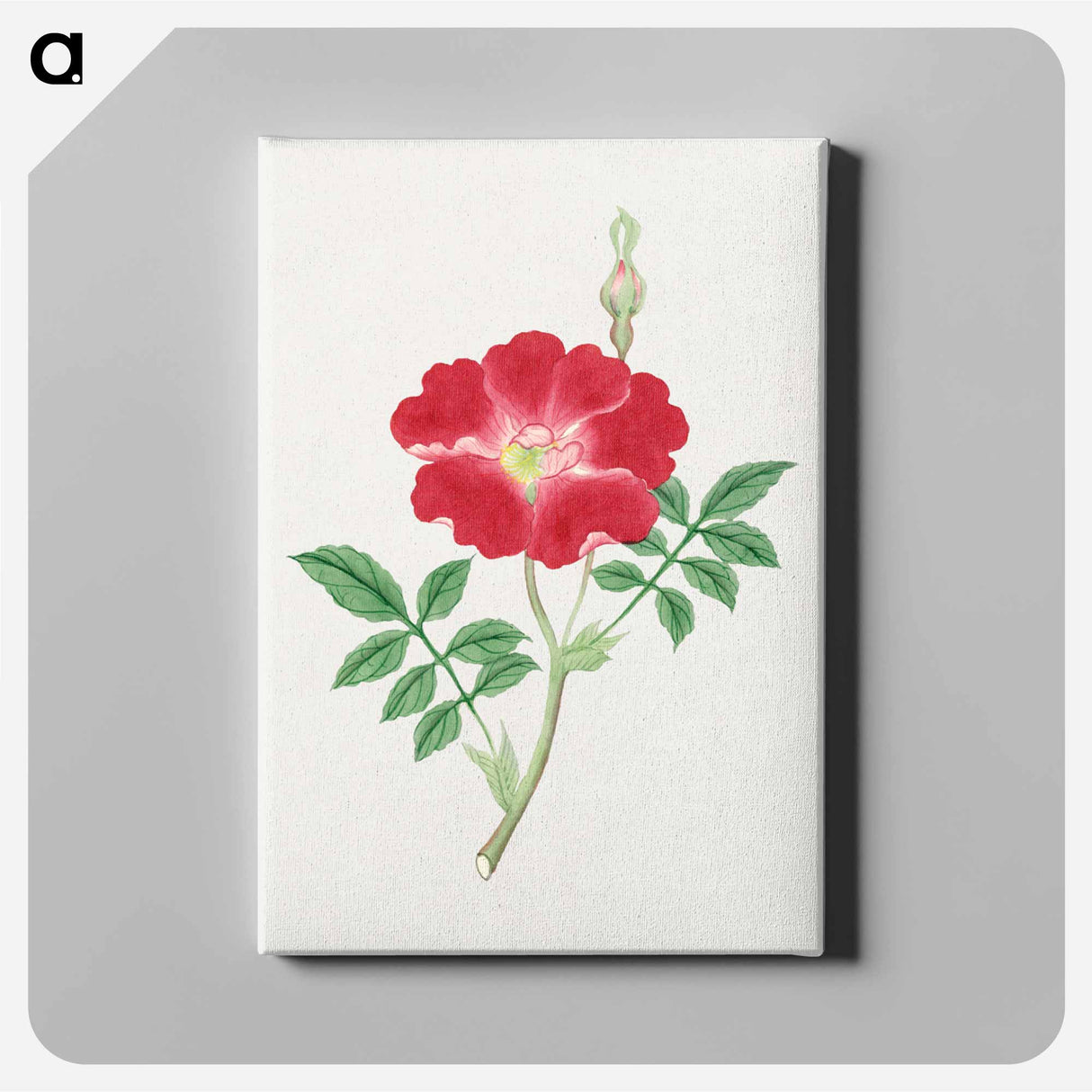 Hai kai kuwa - 19世紀の日本の花 Canvas.