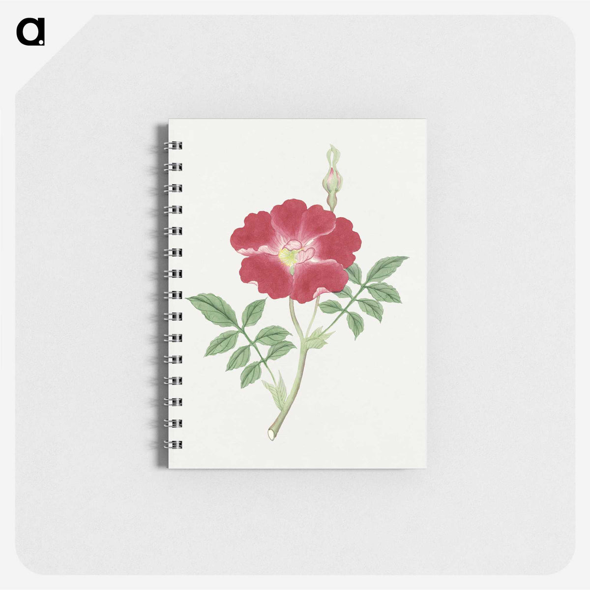 1-1_19th-Century-Japanese-Flowers_memo