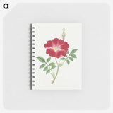 1-1_19th-Century-Japanese-Flowers_memo