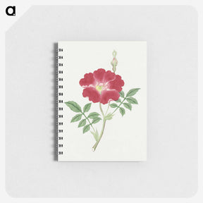1-1_19th-Century-Japanese-Flowers_memo