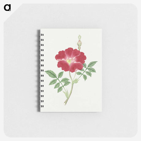 1-1_19th-Century-Japanese-Flowers_memo