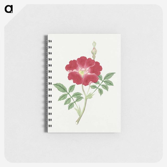 1-1_19th-Century-Japanese-Flowers_memo