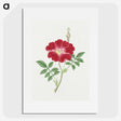 1-1_19th-Century-Japanese-Flowers_picture