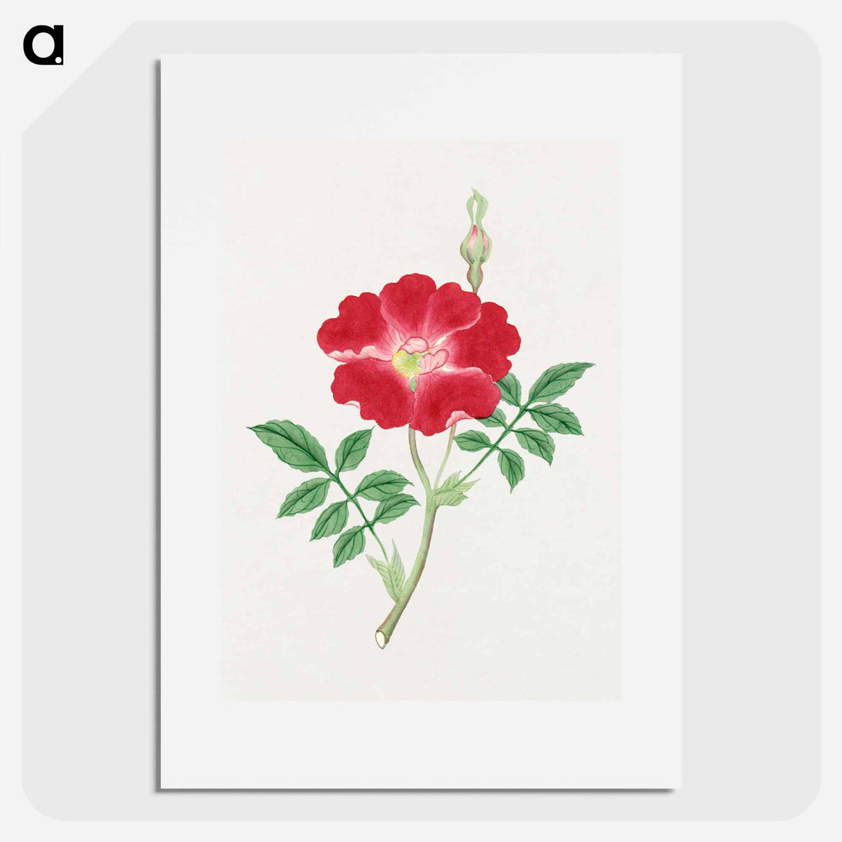Hai kai kuwa - 19世紀の日本の花 Poster.