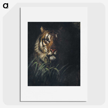 1-1_Abbott-Handerson-Thayer_picture